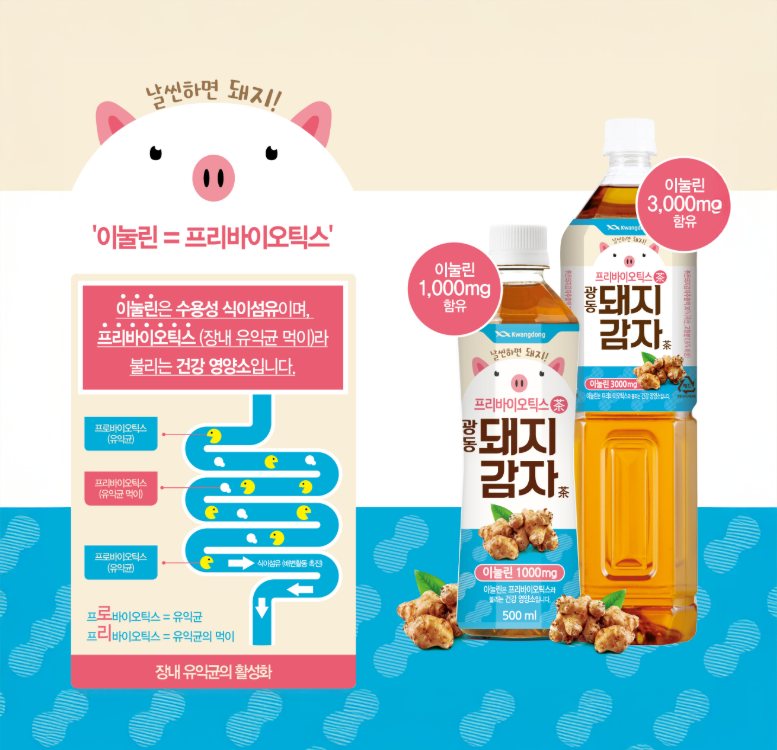 !Sale! 광동 돼지감자차 500ml (+ pfand)