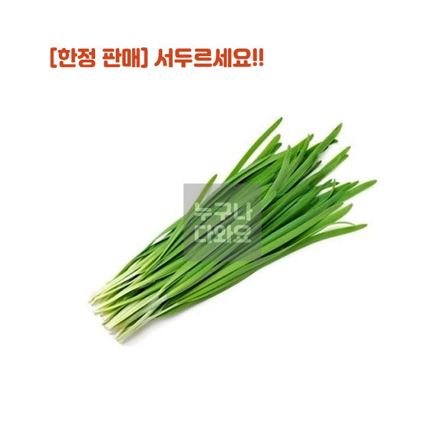 부추 1단(배송지연 및 반송 등의 사유로 인한 보상 불가)