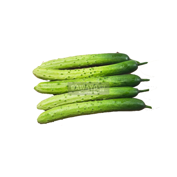 신선하고 맛있는 오이 5개입 약 1kg (배송지연 및 반송 등의 사유로 인한 보상 불가)