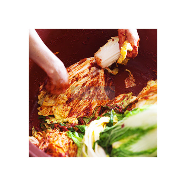 DIY Kimchi Kit (1 head pre-salted napa cabbage approx. 1.2kg + handmade seasoning paste + sanitary gloves) - Please check the details below!
