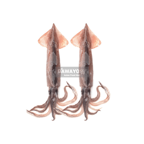 한국산 냉동 통오징어 2개 약800g (자체포장)