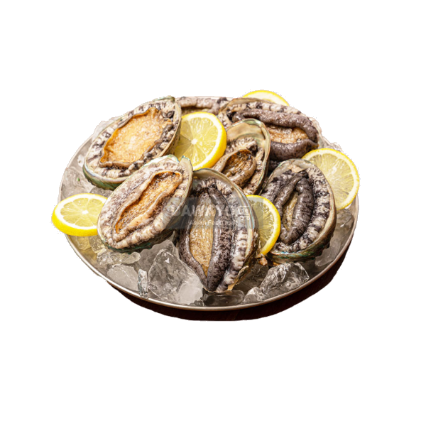 완도맘 전복 1kg